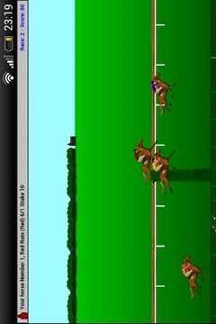 Steeplechase Horse Racing游戏截图1