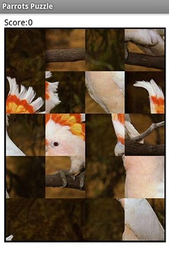 Parrots Puzzle游戏截图2