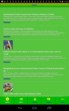 International Cricket游戏截图3