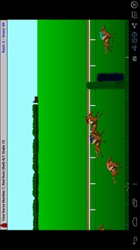 Steeplechase Horse Racing游戏截图4