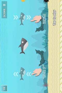 Fatty Shark (Flappy Shark)游戏截图2