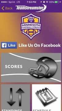 Minnesota Football STREAM游戏截图2