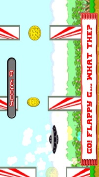 Animal Run: Flapping Frenzy!游戏截图3