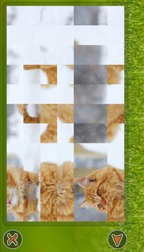 Cats Puzzle游戏截图5