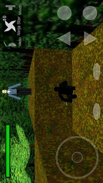 3D Ninja Game游戏截图1