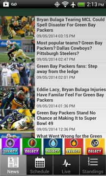 Green Bay Football游戏截图1