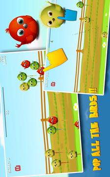 Candyland Birds Pop游戏截图3