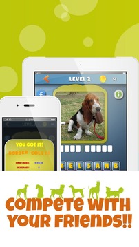 DogdomDogs guess the dog FREE游戏截图2