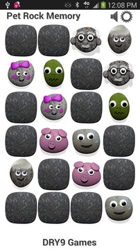 Pet Rock Memory Concentration游戏截图2