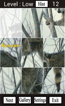 Wild Animals of North America游戏截图5
