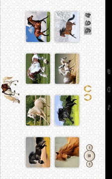 Horses Jigsaw Puzzles游戏截图3