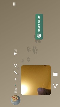 Mice Catch - Cat Game游戏截图2