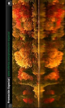 Nature Fall Puzzles游戏截图2