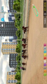 Pick Horse Racing游戏截图2
