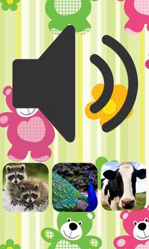 Animal Sound Quiz Game游戏截图3