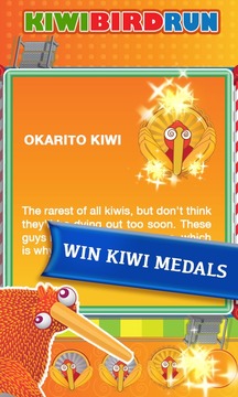 Kiwi Bird Run - Birds Unite!游戏截图4