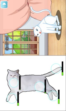 Cat Grooming游戏截图2