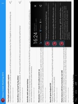 Relaso Cricket: World Cup 2015游戏截图5
