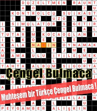 Çengel Bulmaca Türkce Kelime Oyunu游戏截图2