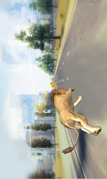 Lion City Race 3D游戏截图2