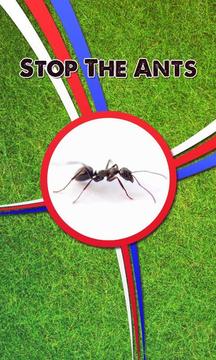 Stop The Ants游戏截图1