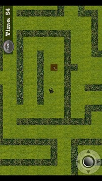 Maze Escape游戏截图3