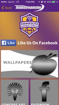 Minnesota Football STREAM游戏截图5