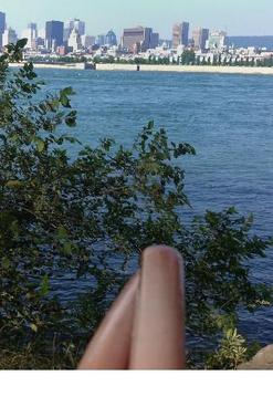 Hot Dog Sausages or Legs Quiz游戏截图5