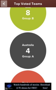 Cricket Worldcup 2015游戏截图3