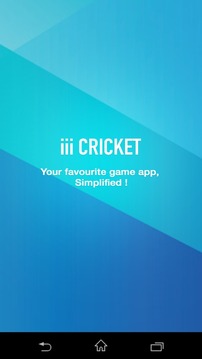 iii Cricket游戏截图1