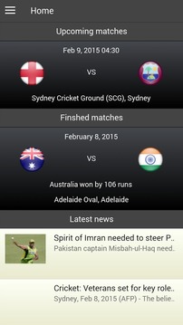 Cricket World游戏截图1