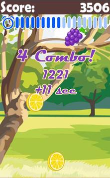 Fruit Combo - free fruit game游戏截图1