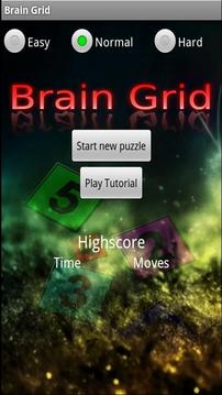Brain Grid Free游戏截图1