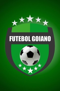 Futebol Goiano游戏截图1