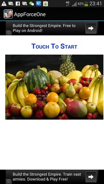 Fruit Mind Game游戏截图1