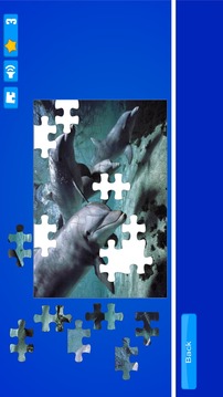 Dolphin Puzzles游戏截图3
