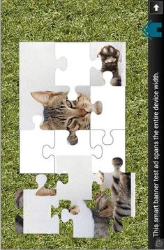 Kids Animals Puzzle游戏截图3