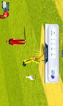 Cricket Ultimate游戏截图4