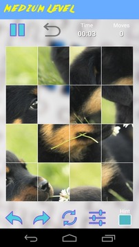 Puppies Jigsaw Puzzles游戏截图4