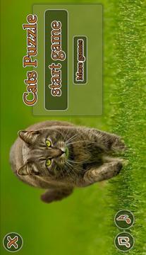 Cats Puzzle游戏截图1