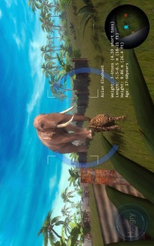 Wild Leopard Simulator 3D游戏截图4