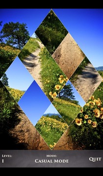 PuzzleSwap - Along the Trail游戏截图3