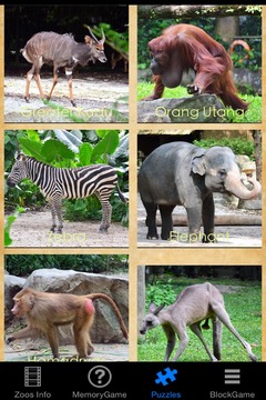 Wonderful Zoo Rescue游戏截图3