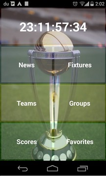 Cricket Mondial 2015游戏截图1