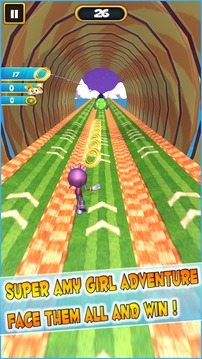 Super 2 Sonic & Friends Adventure游戏截图3