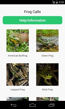 Frog Calls游戏截图1