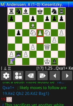 Chess PGN Browser Admin游戏截图1