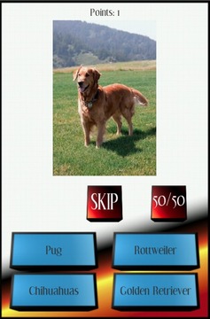 Dog Breed Picture Quiz游戏截图4