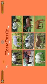 Horse Puzzle For Kids游戏截图5