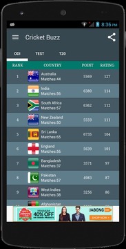 Cricket Buzz游戏截图3